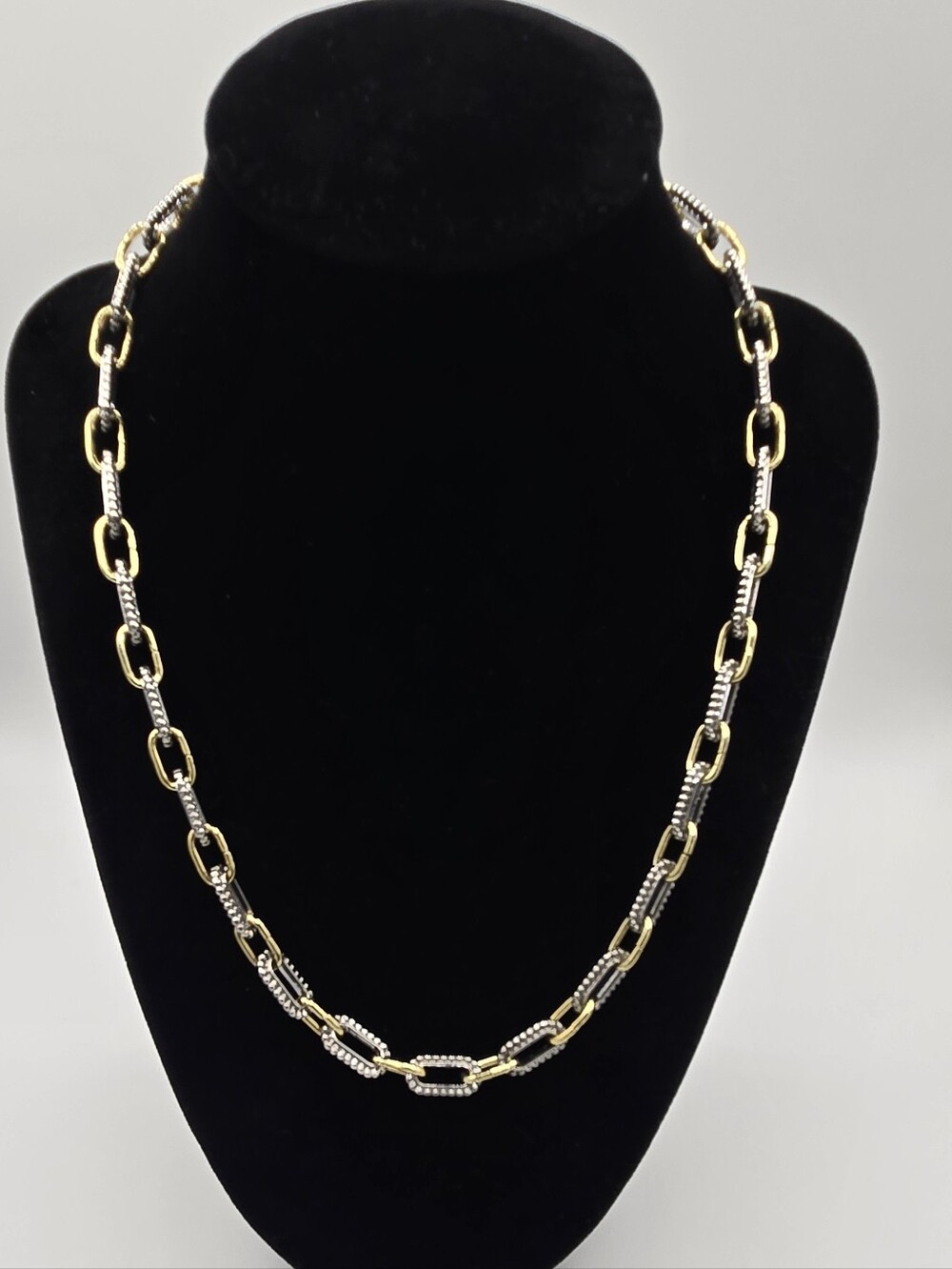 Gold and Silver Tone Link Chain Necklace